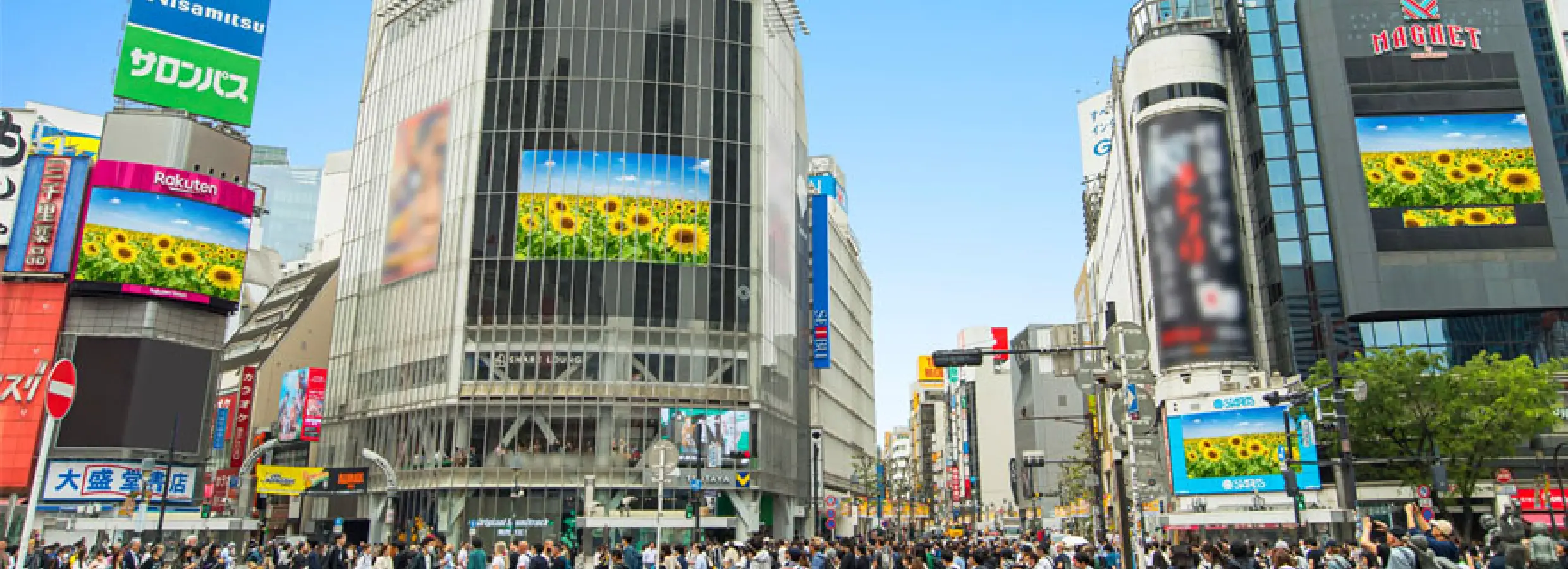 大型ビジョンの写真